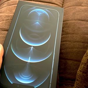 iPhone 12 Pro Max 128 memory